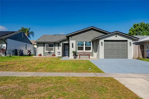 12423 Mondragon Drive Tampa FL 33625