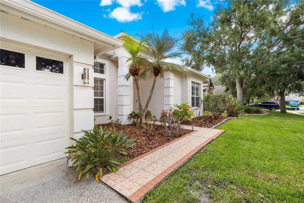 10254 Shadow Branch Drive Tampa FL 33647