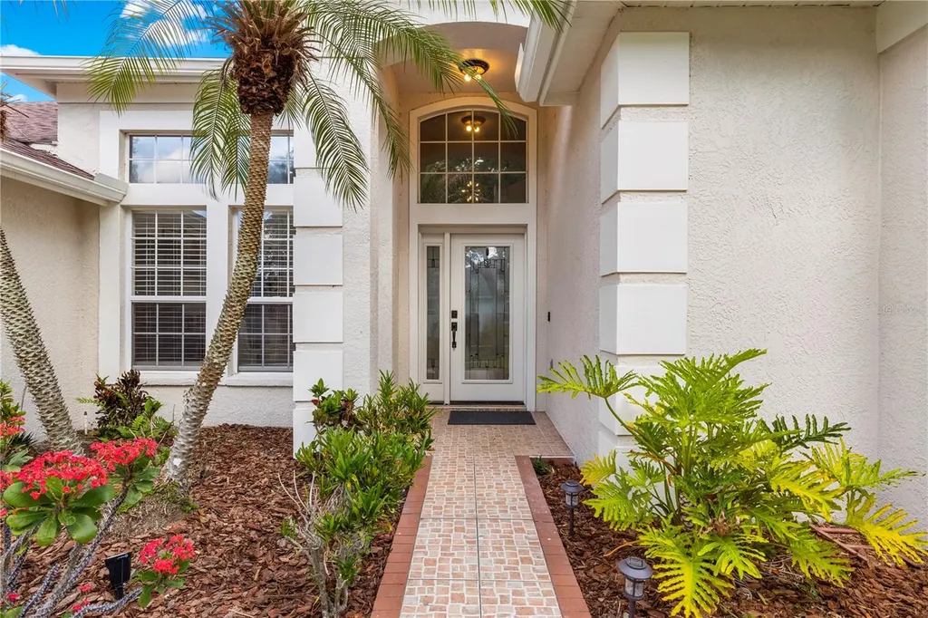 10254 Shadow Branch Drive Tampa FL 33647