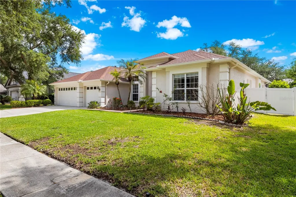 10254 Shadow Branch Drive Tampa FL 33647