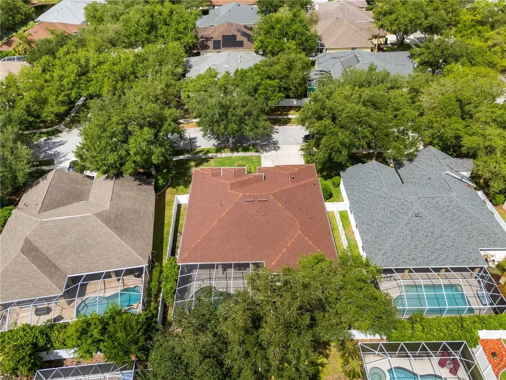 10254 Shadow Branch Drive Tampa FL 33647