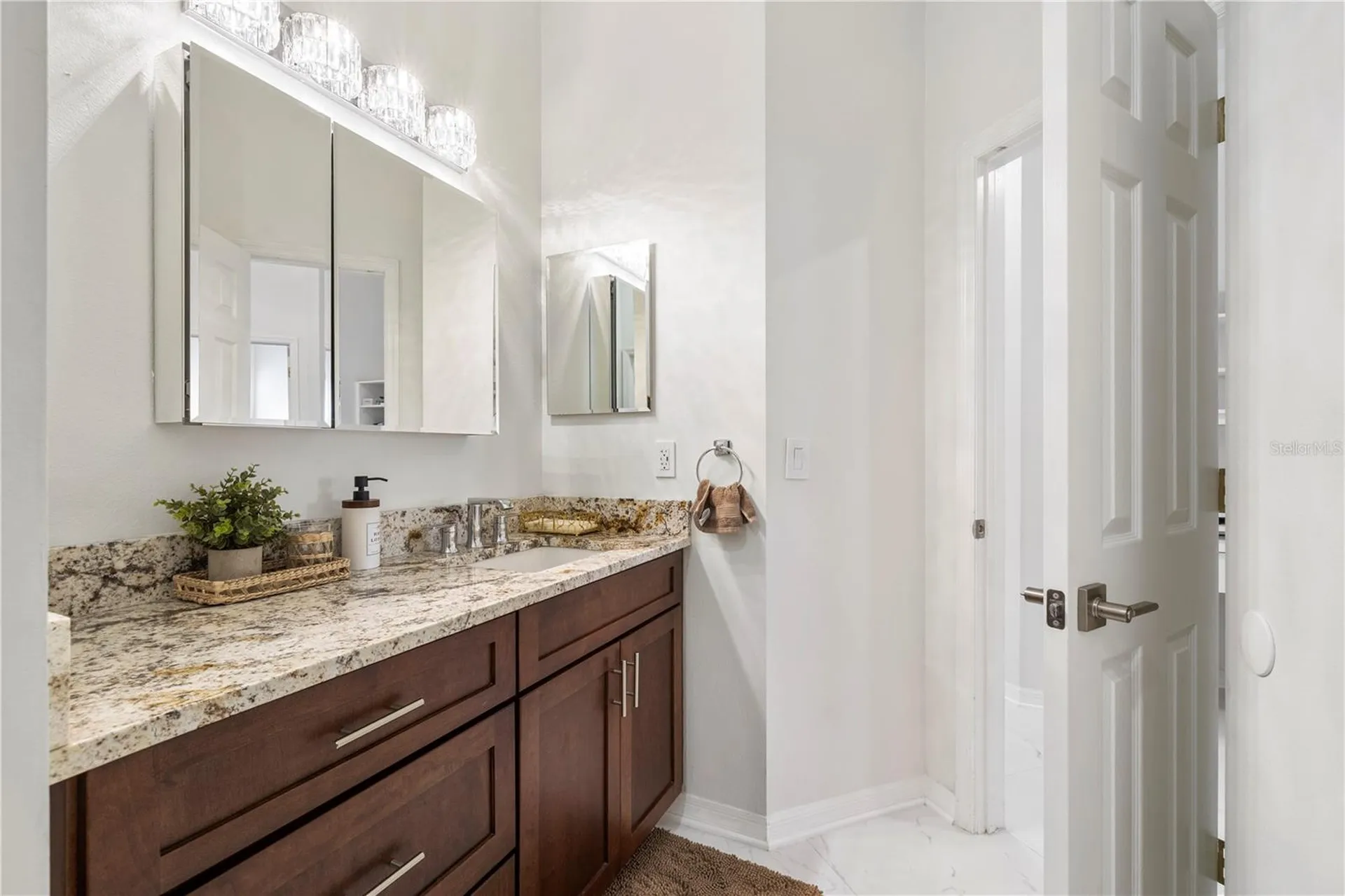 10254 Shadow Branch Drive Tampa FL 33647