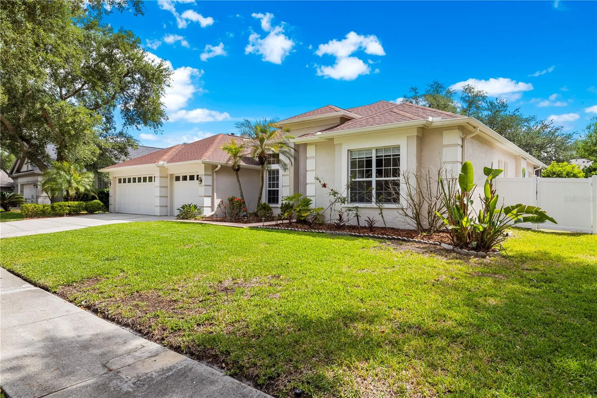 10254 Shadow Branch Drive Tampa FL 33647