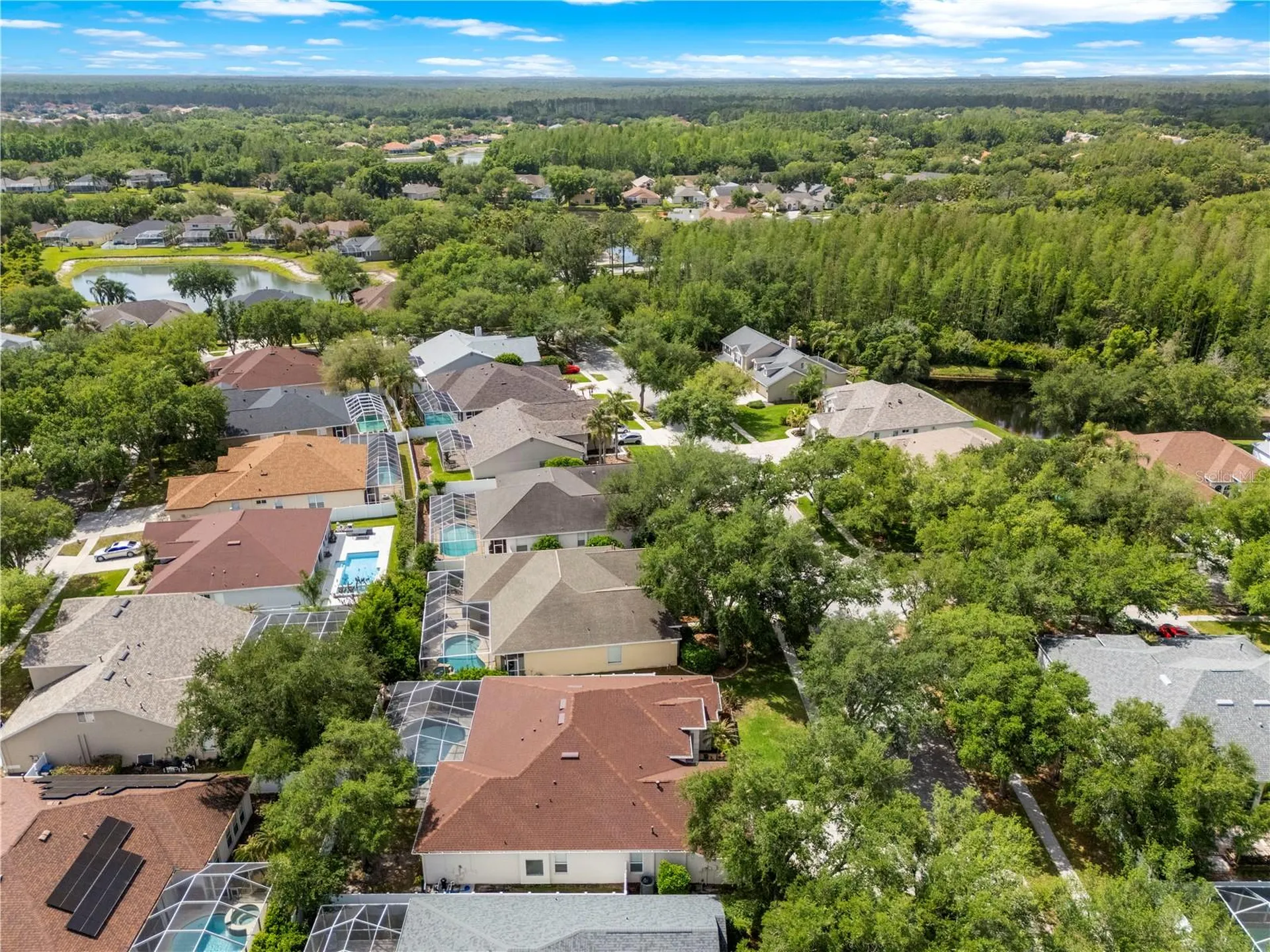 10254 Shadow Branch Drive Tampa FL 33647