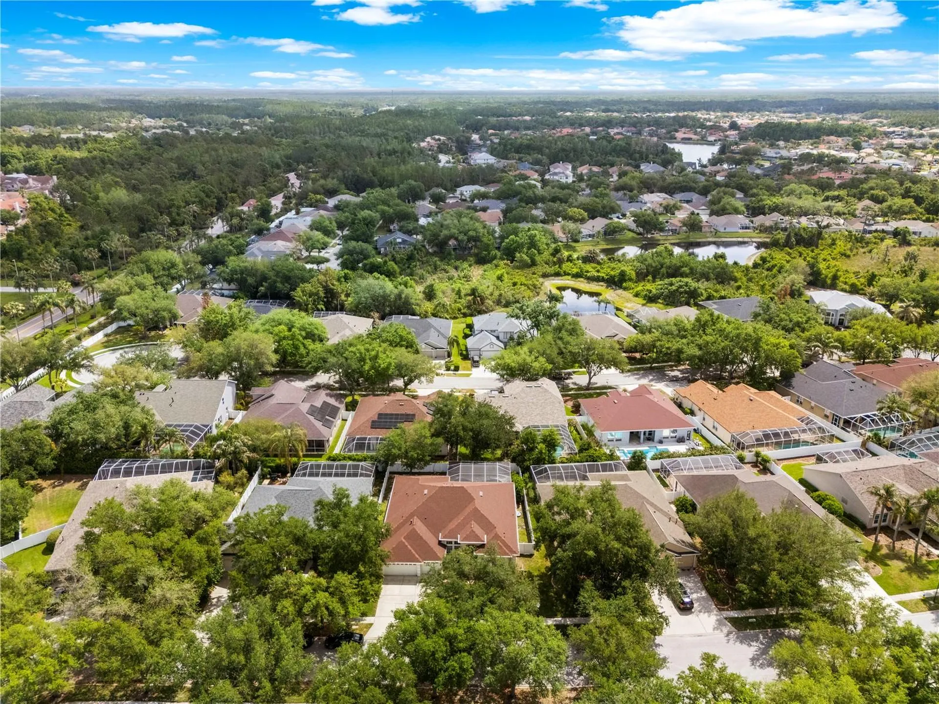 10254 Shadow Branch Drive Tampa FL 33647