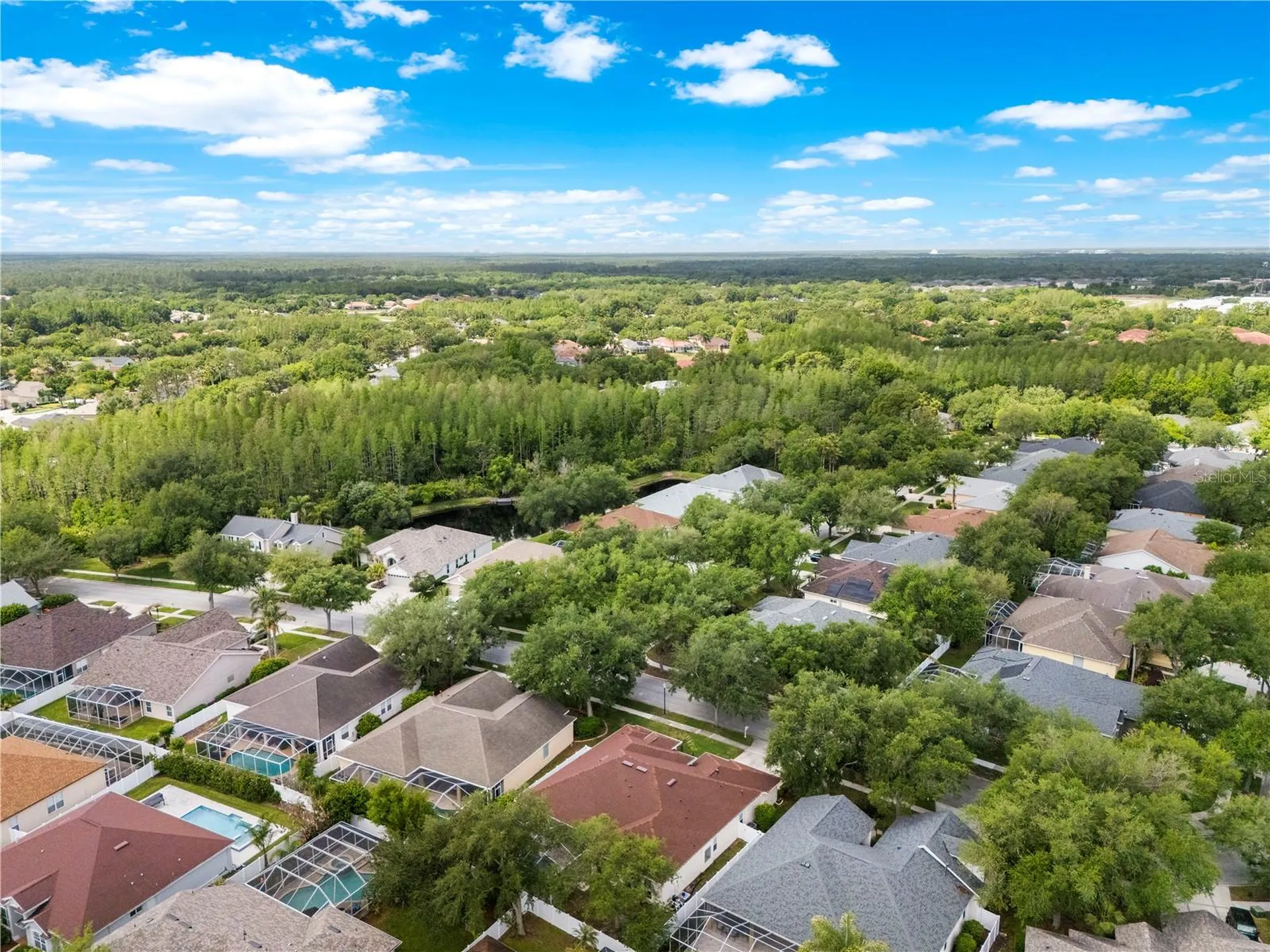10254 Shadow Branch Drive Tampa FL 33647