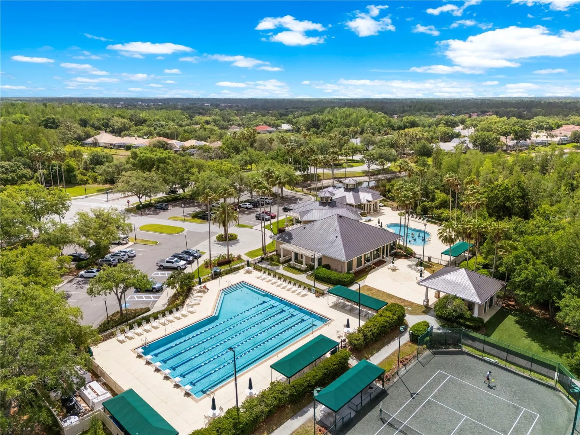 10254 Shadow Branch Drive Tampa FL 33647