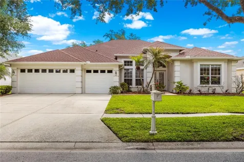 10254 Shadow Branch Drive Tampa FL 33647