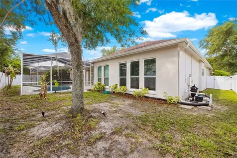 10254 Shadow Branch Drive Tampa FL 33647