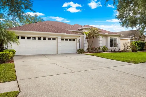 10254 Shadow Branch Drive Tampa FL 33647