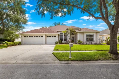 10254 Shadow Branch Drive Tampa FL 33647