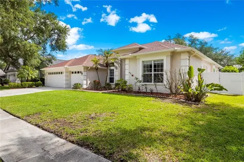 10254 Shadow Branch Drive Tampa FL 33647