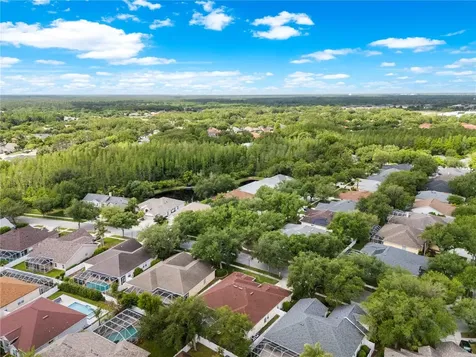 10254 Shadow Branch Drive Tampa FL 33647