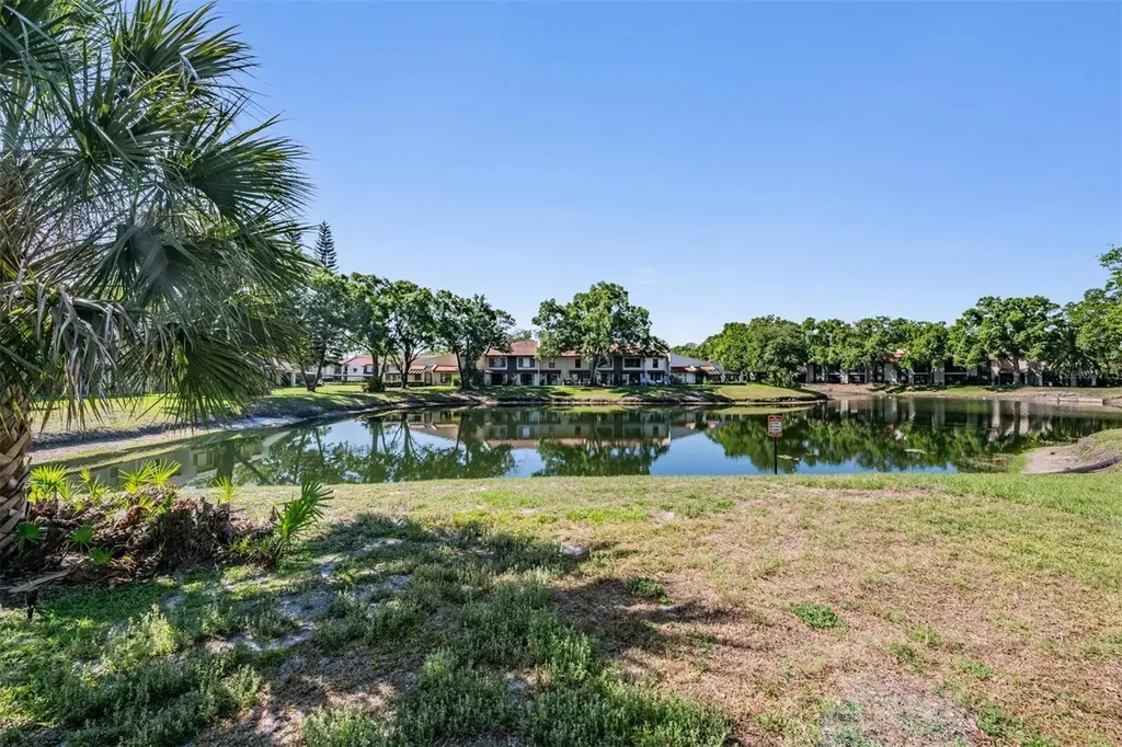 3505 Tarpon Woods Boulevard Palm Harbor FL 34685