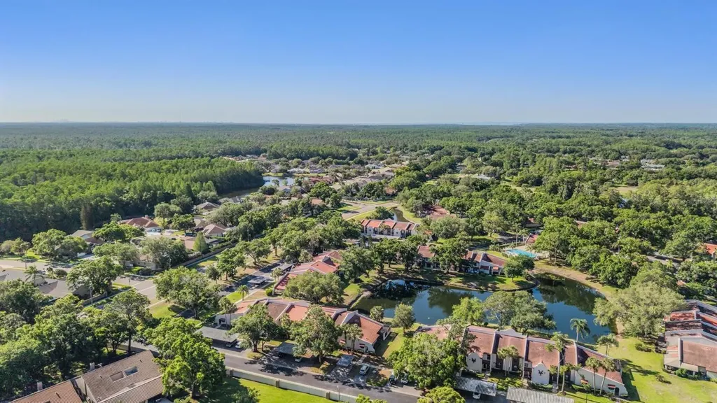 3505 Tarpon Woods Boulevard Palm Harbor FL 34685