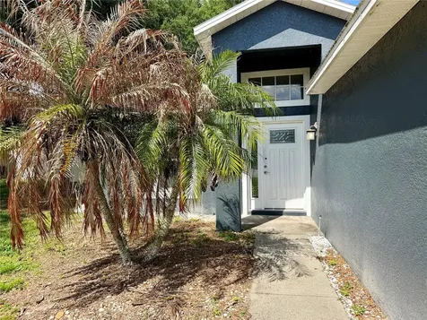1453 Whooping Drive Groveland FL 34736