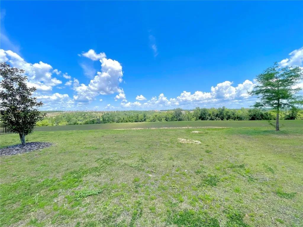 2326 Gold Dust Drive Minneola FL 34715