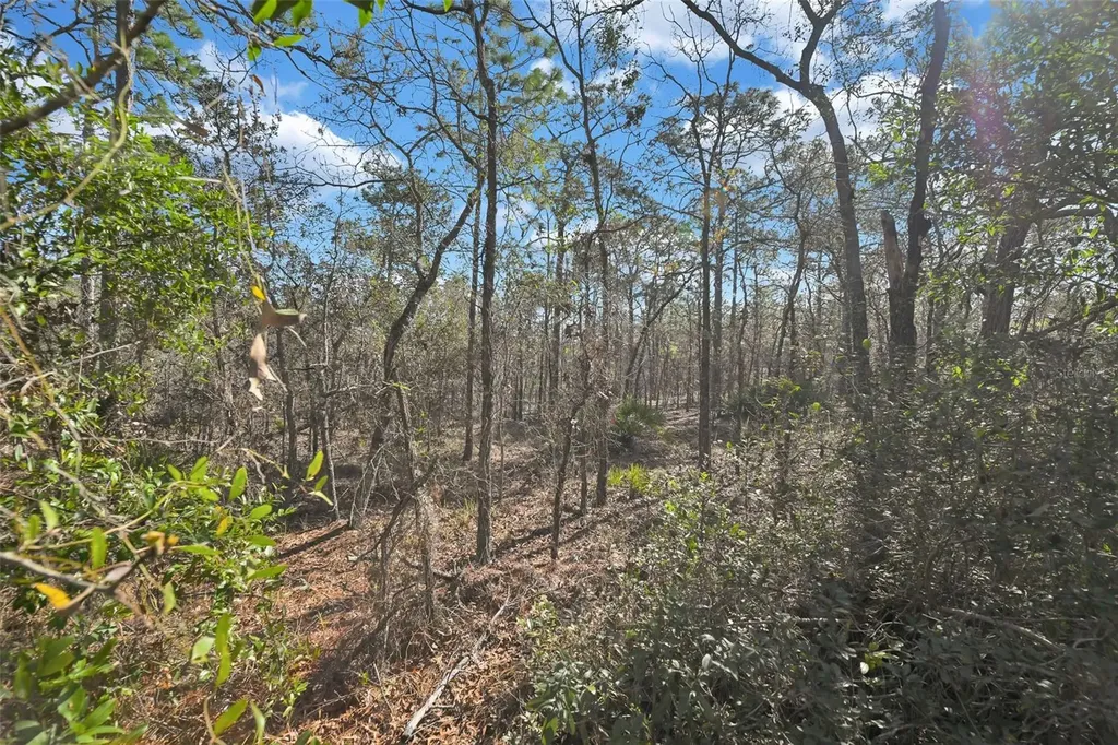 17 Elder Court E Homosassa FL 34446