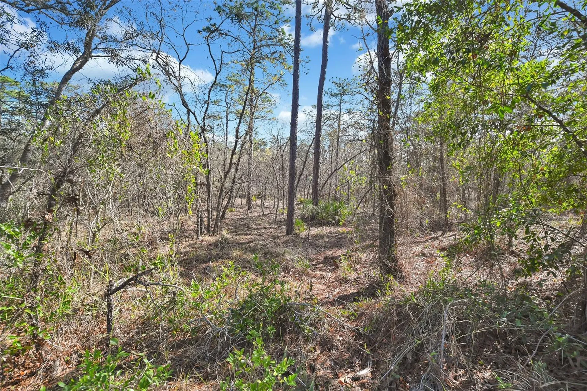 17 Elder Court E Homosassa FL 34446