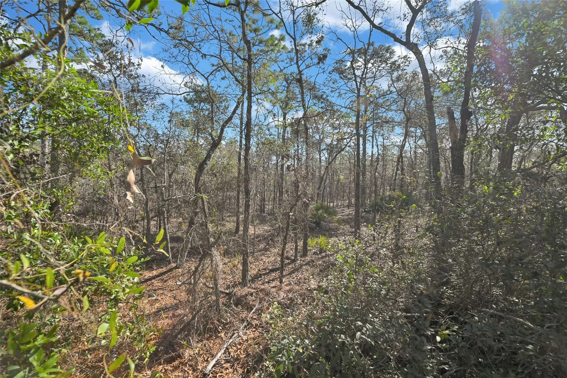 17 Elder Court E Homosassa FL 34446