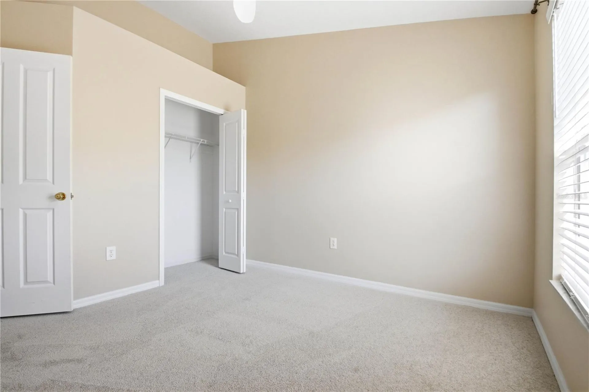 9808 New Parke Road Tampa FL 33626