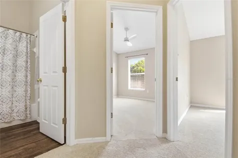 9808 New Parke Road Tampa FL 33626