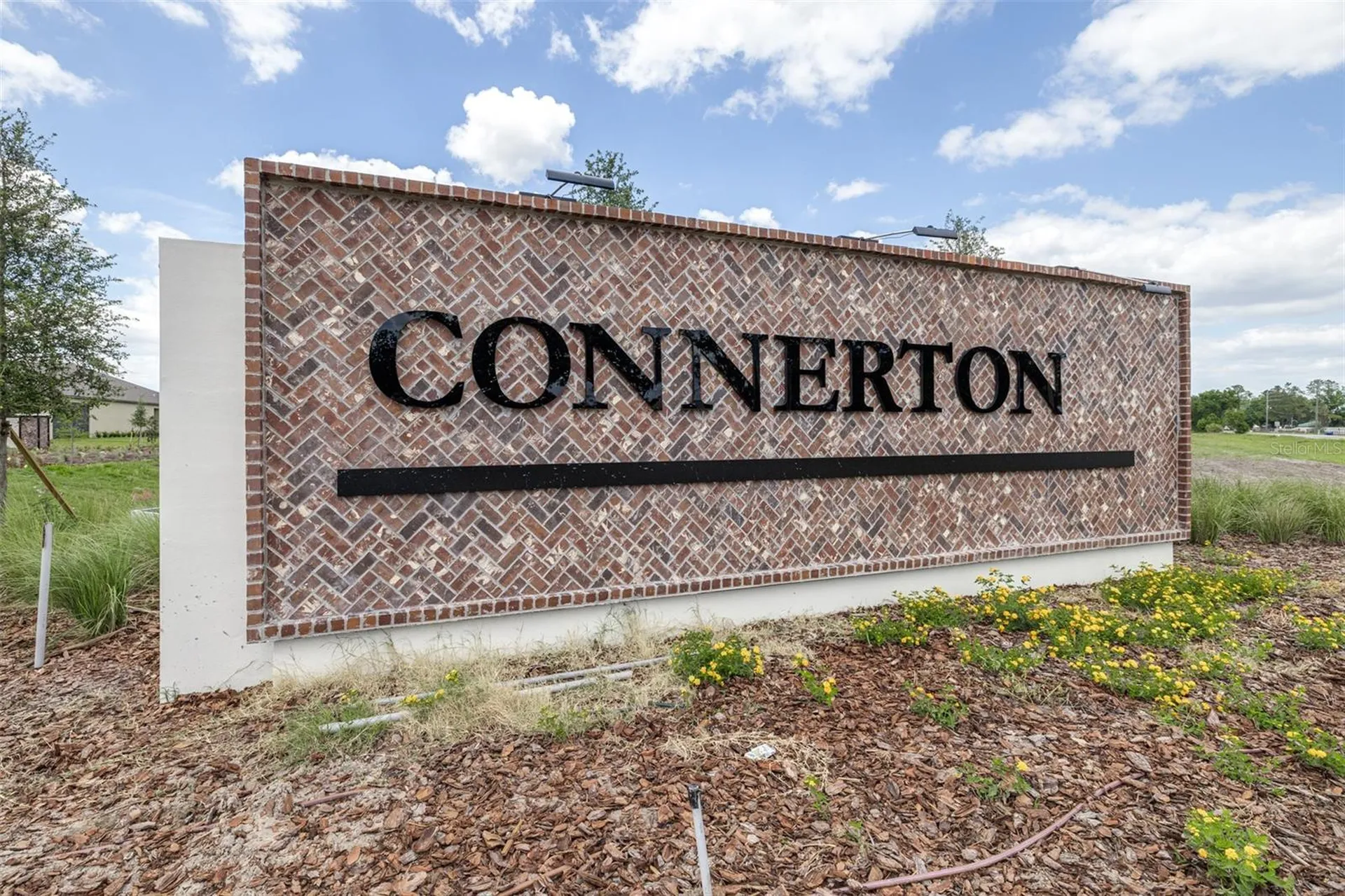 8969 Little Bluestem Drive Land O Lakes FL 34637
