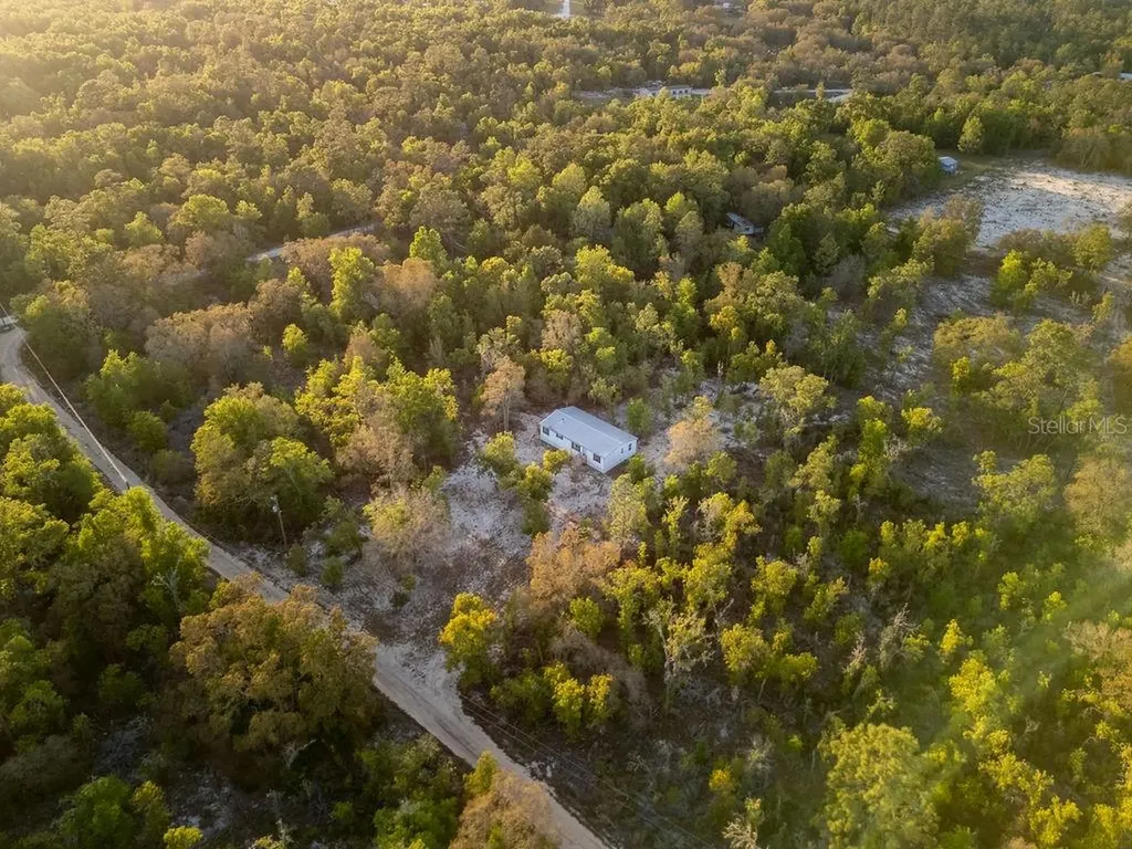 9591 NE 87th Place Bronson FL 32621