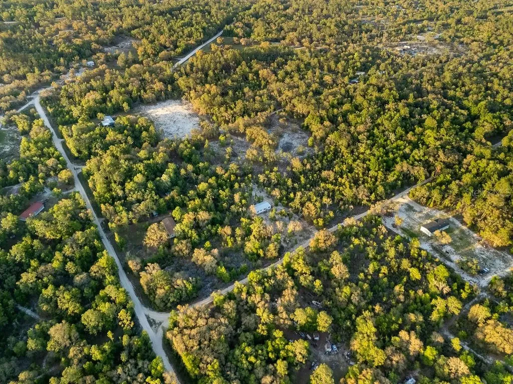 9591 NE 87th Place Bronson FL 32621