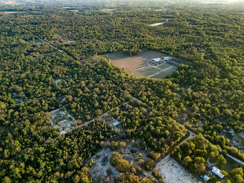 9591 NE 87th Place Bronson FL 32621