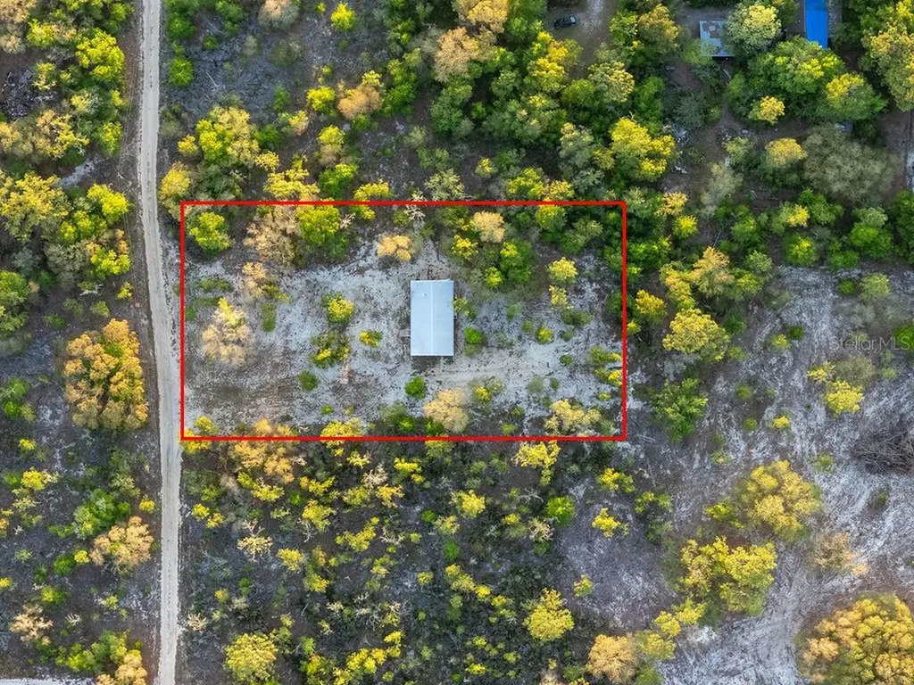 9591 NE 87th Place Bronson FL 32621