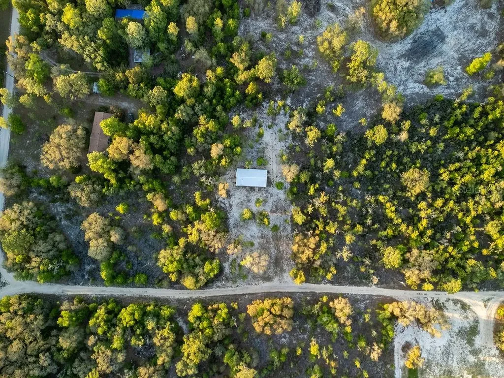 9591 NE 87th Place Bronson FL 32621