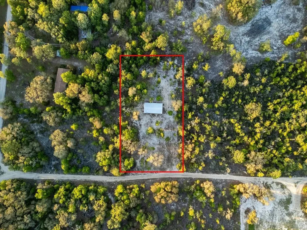 9591 NE 87th Place Bronson FL 32621