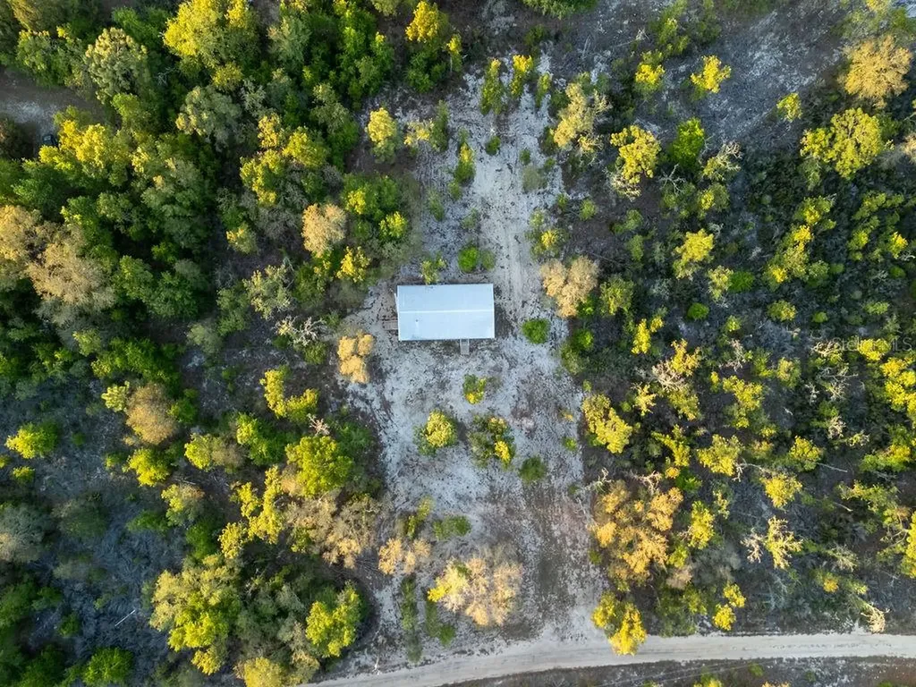 9591 NE 87th Place Bronson FL 32621