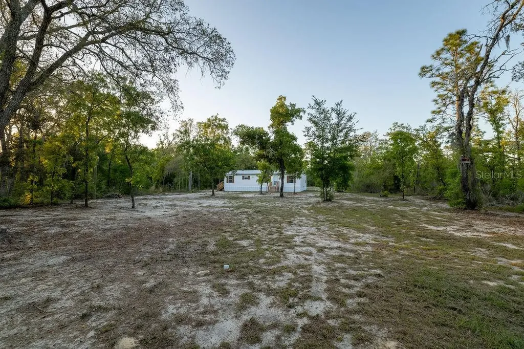 9591 NE 87th Place Bronson FL 32621