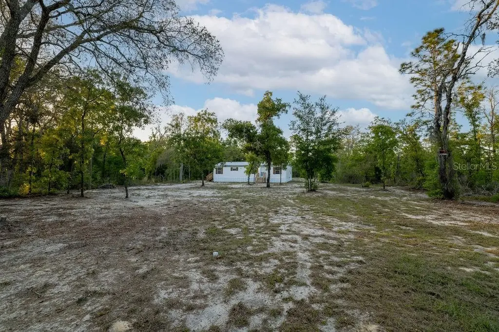 9591 NE 87th Place Bronson FL 32621