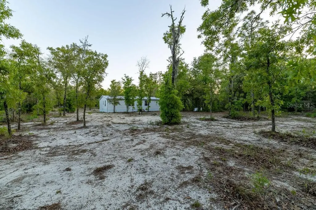 9591 NE 87th Place Bronson FL 32621