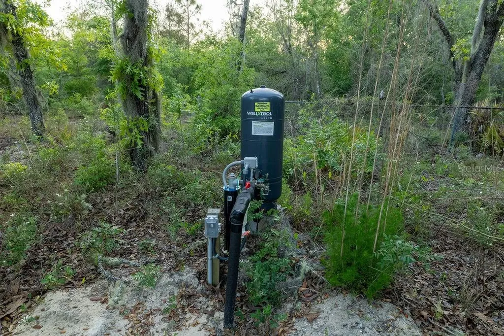 9591 NE 87th Place Bronson FL 32621