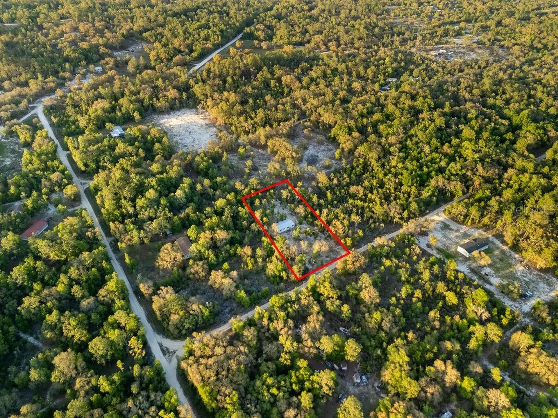 9591 NE 87th Place Bronson FL 32621