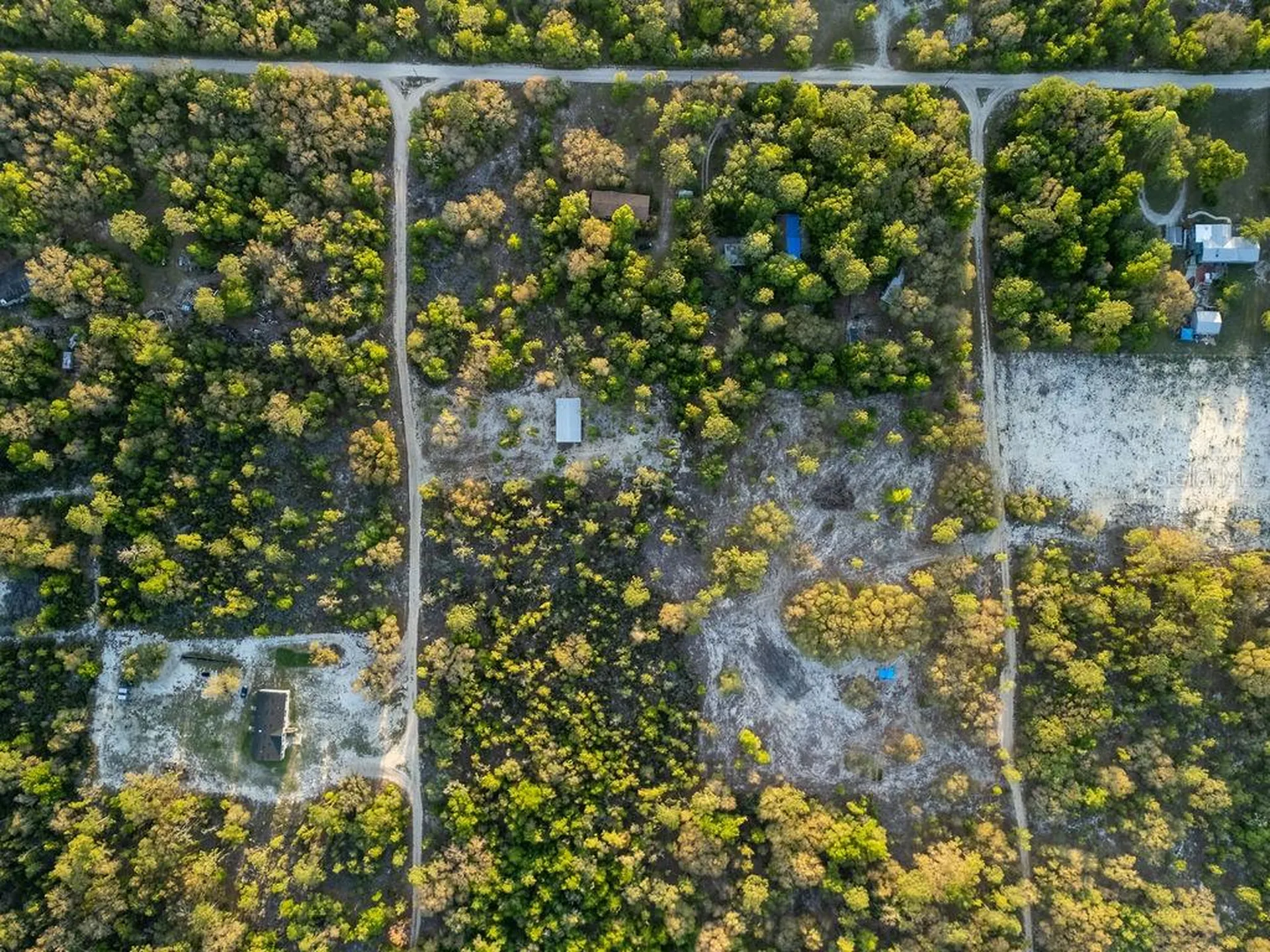 9591 NE 87th Place Bronson FL 32621