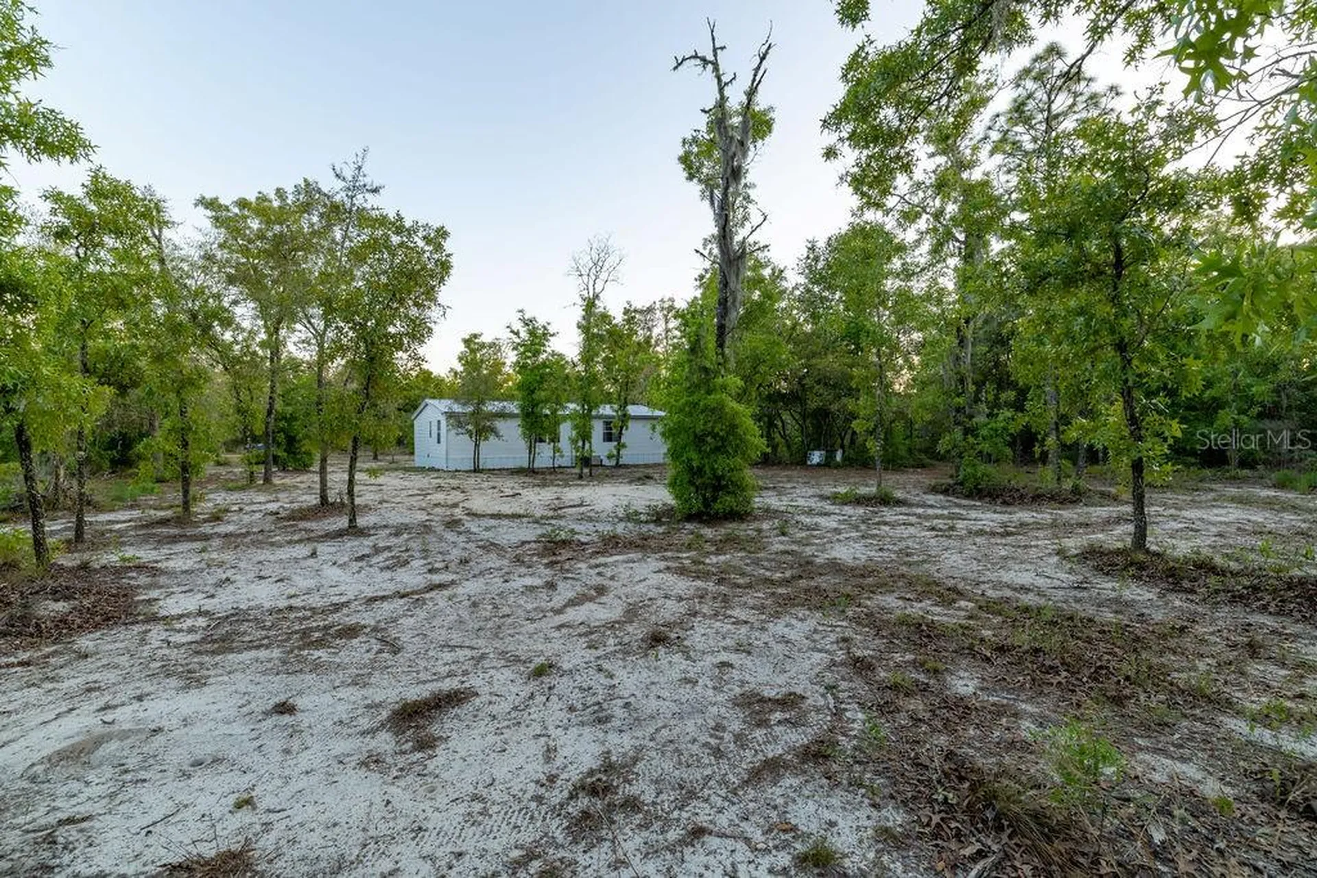 9591 NE 87th Place Bronson FL 32621
