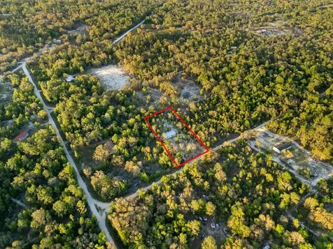 9591 NE 87th Place Bronson FL 32621