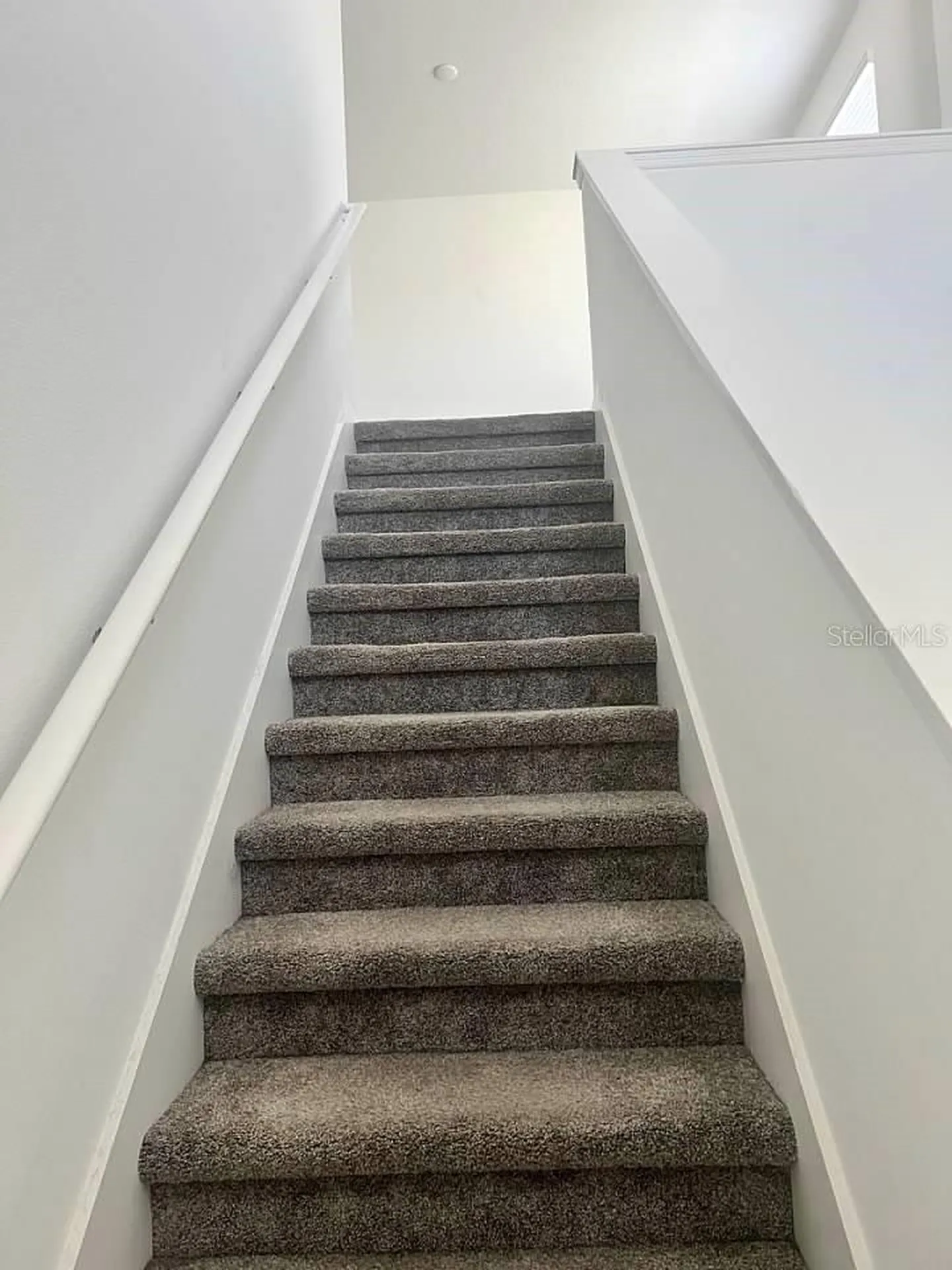 5554 Braken Fern Way Leesburg FL 34748