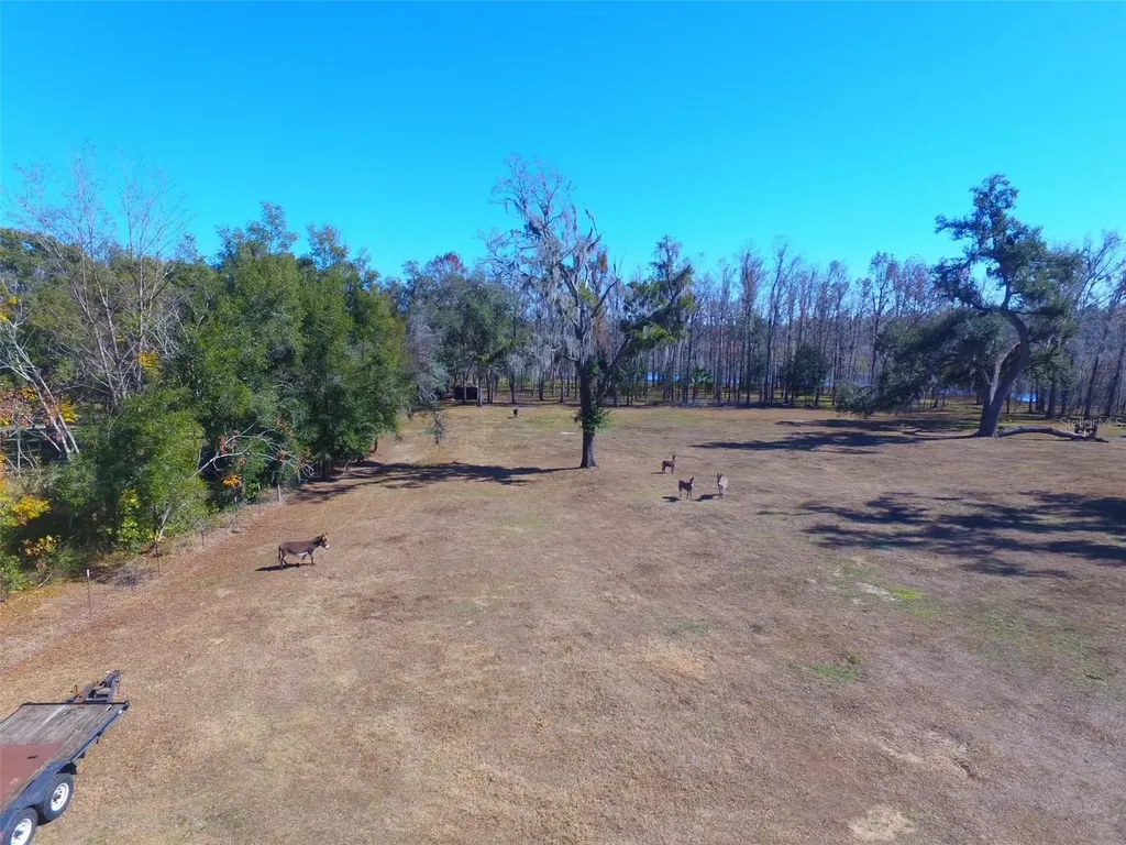 37214 Hester Road Dade City FL 33525