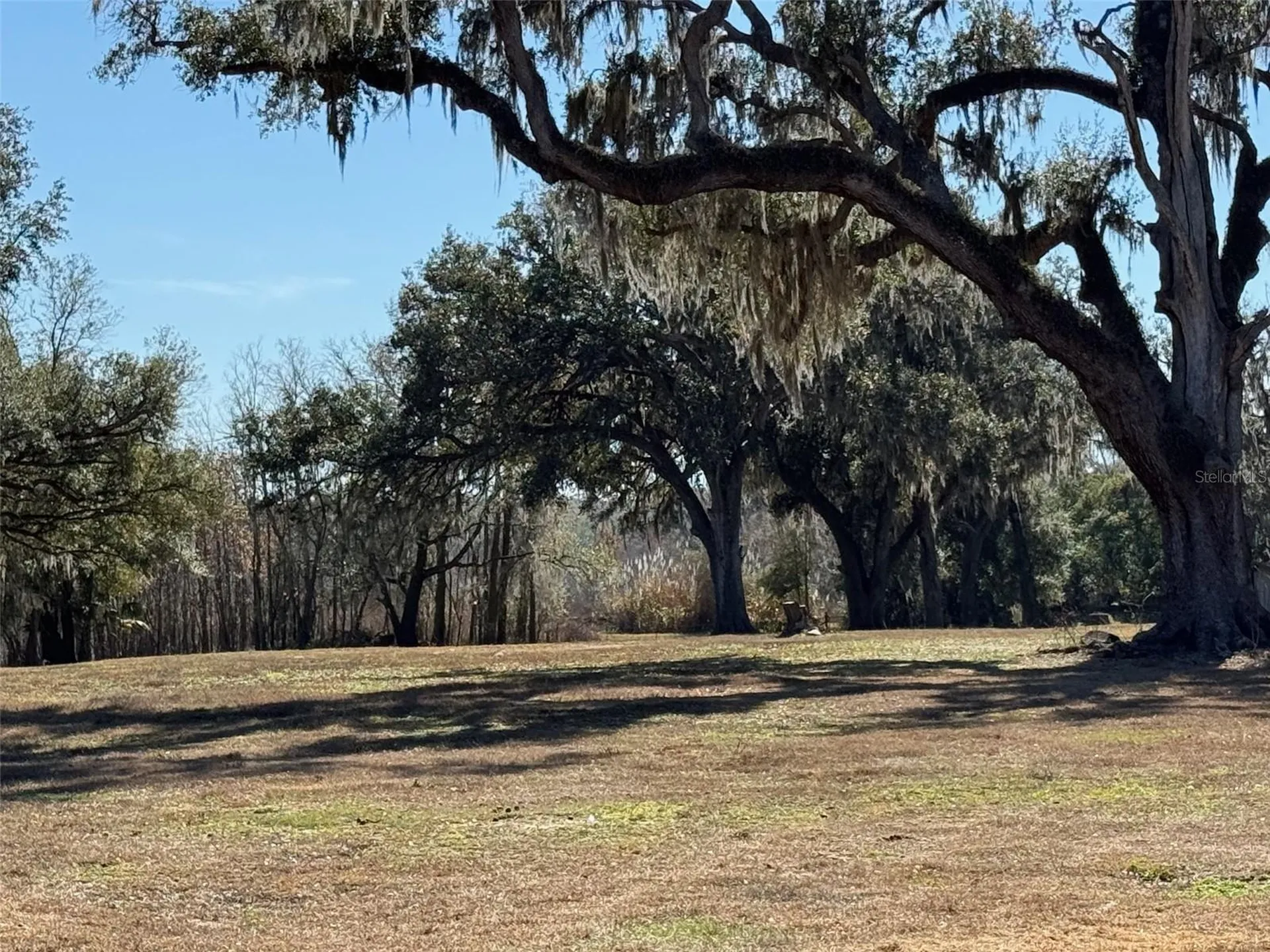 37214 Hester Road Dade City FL 33525