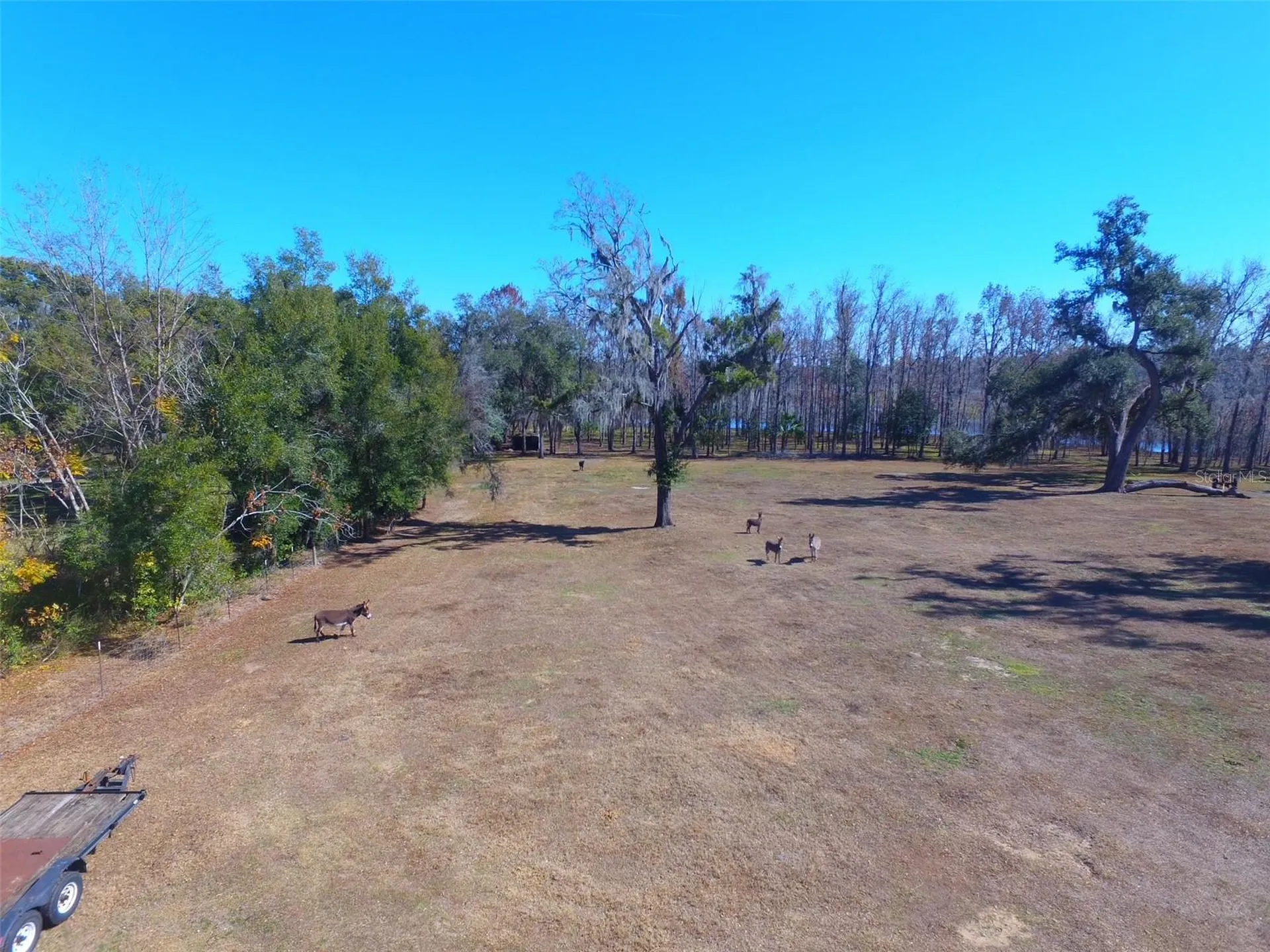 37214 Hester Road Dade City FL 33525