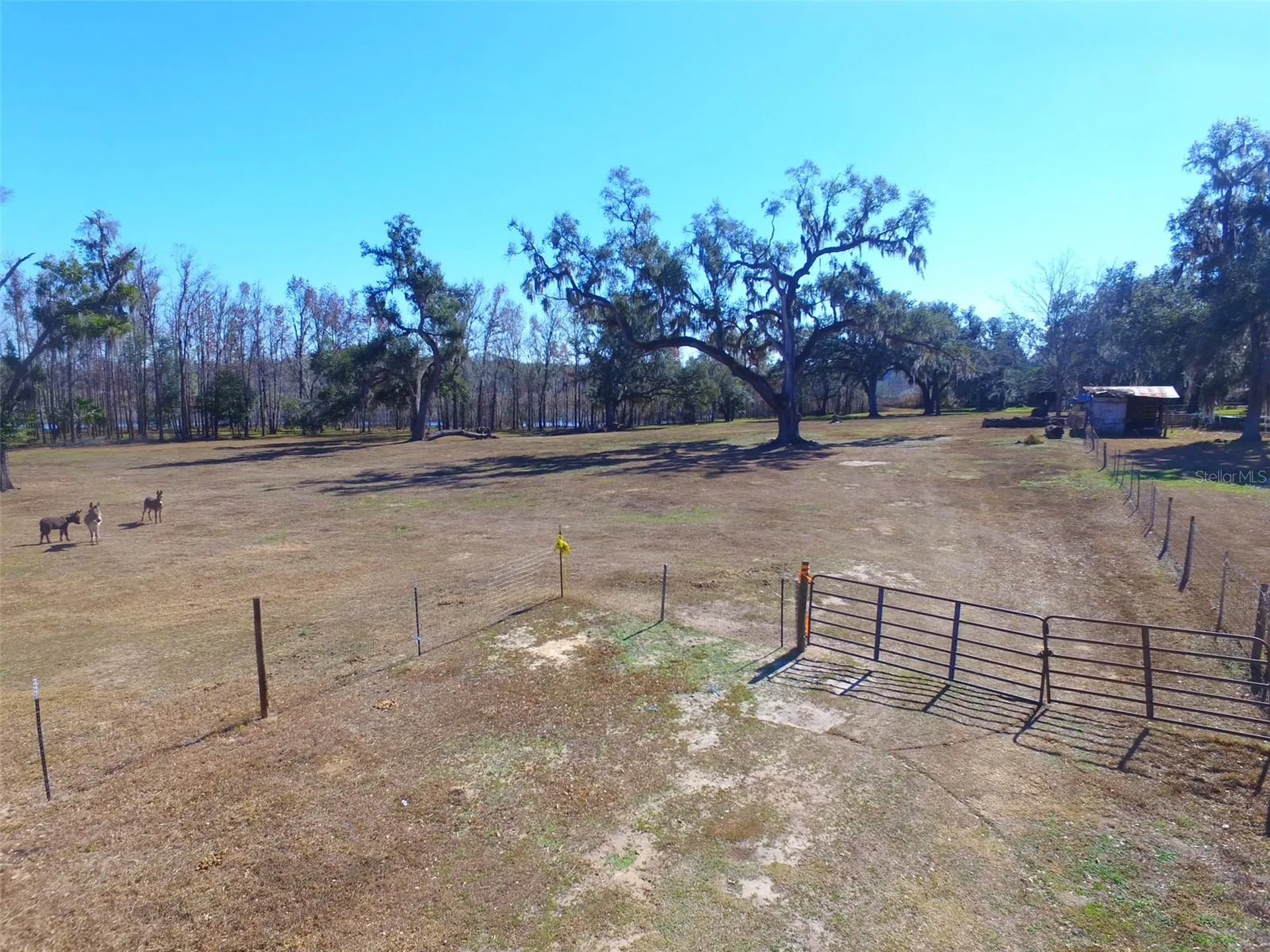37214 Hester Road Dade City FL 33525