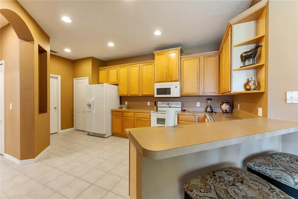 19182 Lake Audubon Drive Tampa FL 33647
