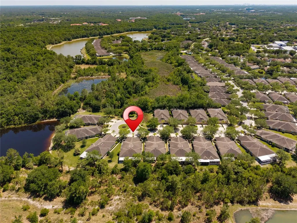 19182 Lake Audubon Drive Tampa FL 33647