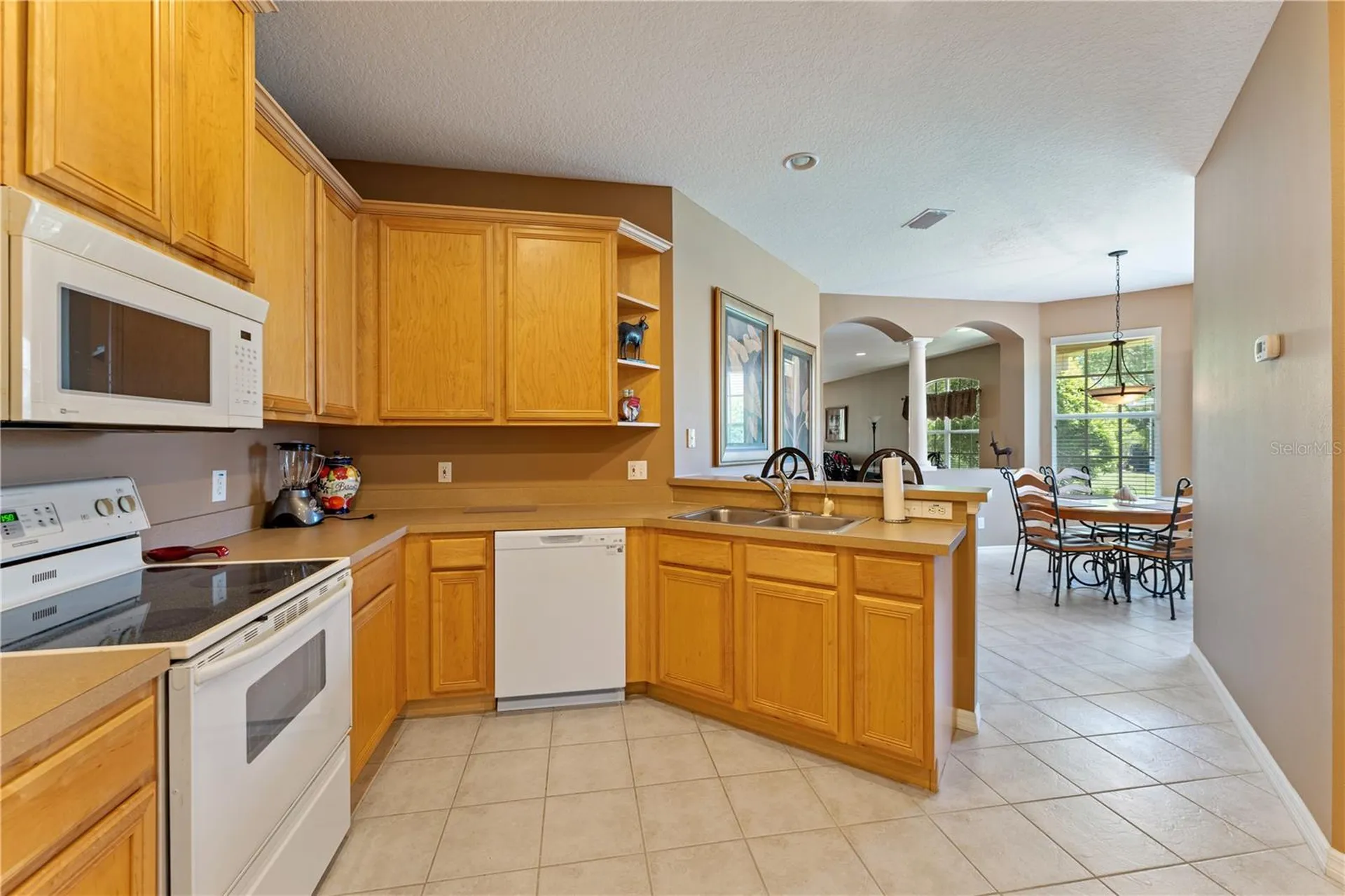 19182 Lake Audubon Drive Tampa FL 33647